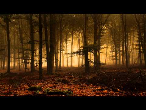 Osamu M - Smokey Forest (Original Mix)