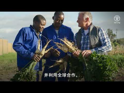 植物健康与“同一健康”