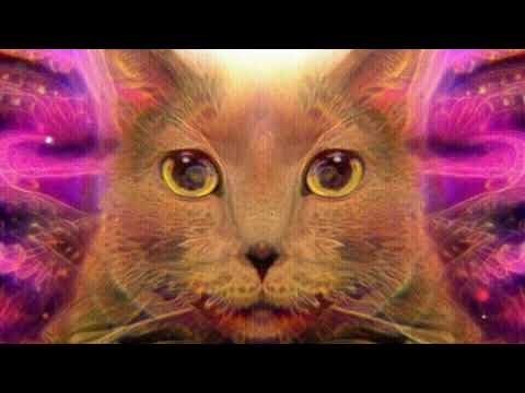 The Doors of Perception by Aldous Huxley in under 4 minutes - AI Digest