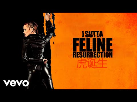 J Sutta - Feline Resurrection (Audio)