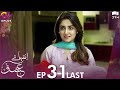 Inteha e Ishq -Last EP 31 | Hiba Bukhari & Junaid Khan | Presented By NISA Cosmetics & NineLeaves