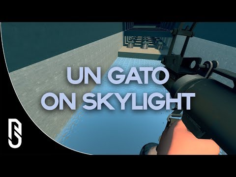 ROTW #238 - un gato on jump_skylight
