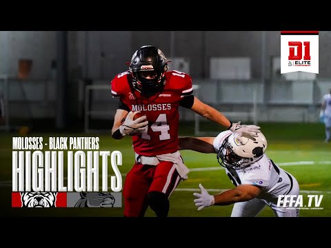 Molosses (Asnières) - Black Panthers (Thonon) | W5 | 10-minute summary | D1 2024-2025