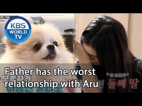 Father has the worst relationship with Aru [Dogs are incredible/ENG/2020.08.12]