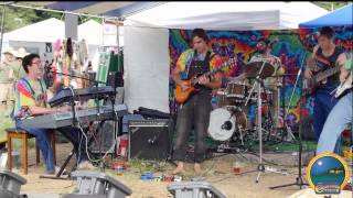 Summer Arts & Music Festival 2015 Highlights