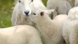 "Down That Old Dirt Road" Video.movie