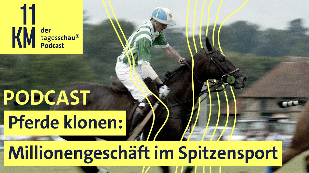 Pferde klonen: Millionengeschäft im Spitzensport  I 11KM - der tagesschau-Podcast