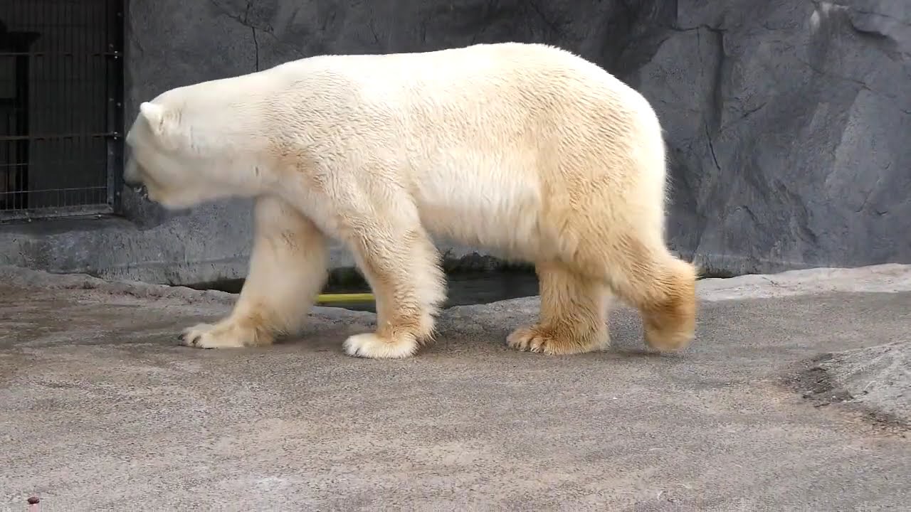 ボクは待ってる