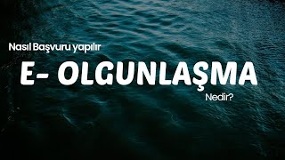 e olgunlaşma sistemi üzerinden olgunlaşma enstitüsü nasıl başvuru yapı