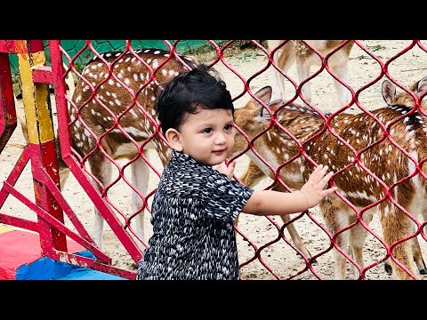 Izdihar visiting zoo for the first time || #cutebaby #enjoying #zoo
