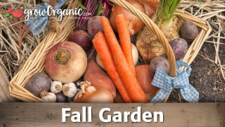 What to Plant In Your Organic, Fall Vegetable Garden