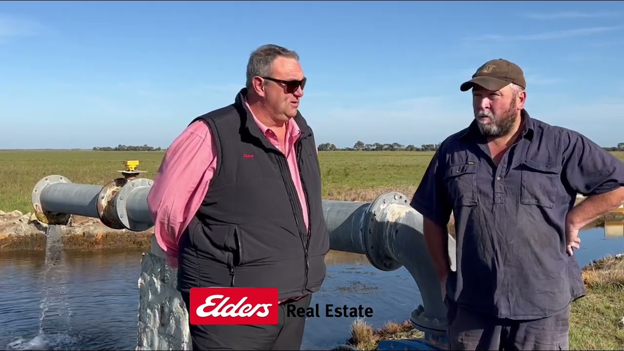 24202 Princes Highway, Millicent, SA, 5280 For Sale Elders Real Estate