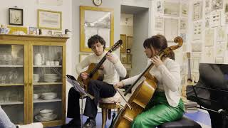 ibriDuo