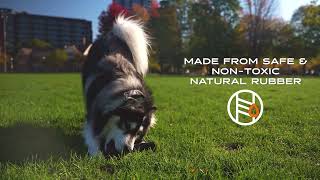 Monster K9   Ringball