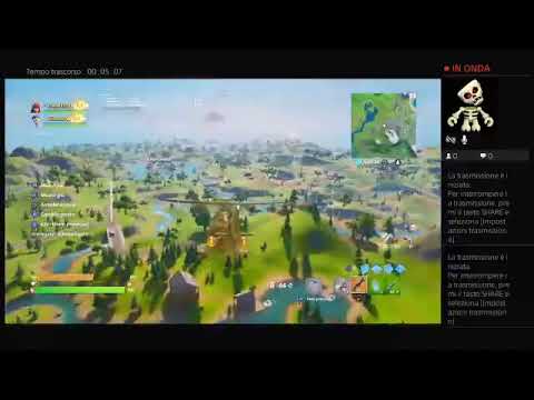 Vita reale che Mida e Skye fanno amicizia