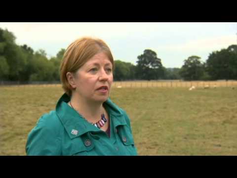 Inside Out - London 21/09/15