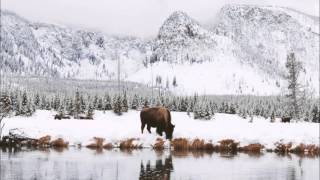 Airbag - How I Wanna Be