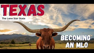Becoming an MLO in Texas - Getting a Mortgage Loan Originator License