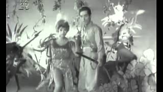 WALTER LEVITA - "Indio quer apito se não der pau vai comer"