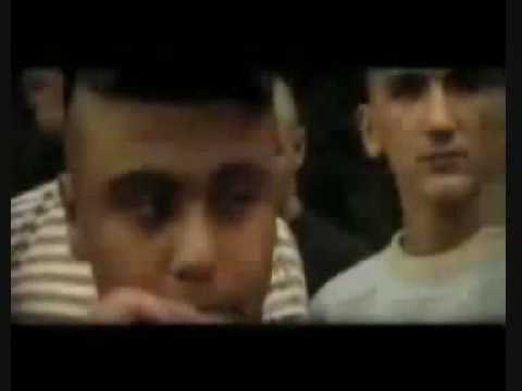 SHOK36 "Das ist Schlesi"