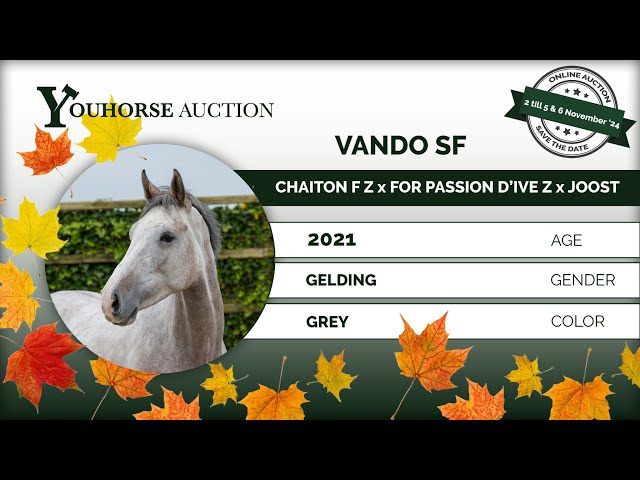 Vando SF