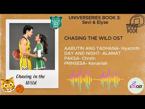 Chasing In The Wild OST Playlist