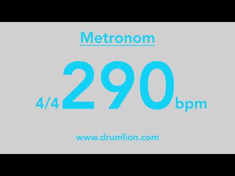 290 bpm - 4/4 | DRUMLION