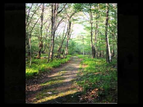 download lagu mp3 mp4 Tish Hinojosa Song For The Journey, download lagu Tish Hinojosa Song For The Journey gratis, unduh video klip Tish Hinojosa Song For The Journey