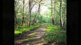 Tish Hinojosa - Song For The Journey