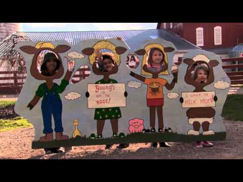 Rieck Youngs Dairy PBS Spot