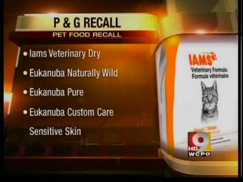 P&G pet food recall