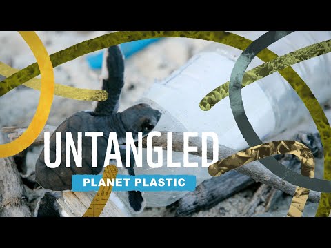 Untangled: Plastic Pollution