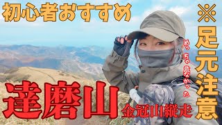 【真冬低山】初心者OK達磨山/晴れても難あり注意するべき点 #登山 #静岡 #hiking