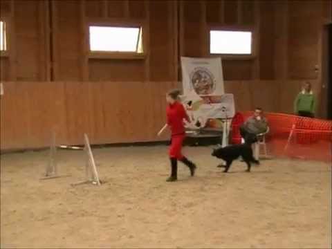 Wintercup Tordas 2014.12.06.