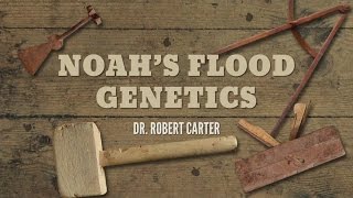 Origins: Noah’s Flood Genetics and DNA