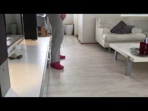 Spice Twice Hillman Hunter - 10weeks old ("Terracotta Girl") C