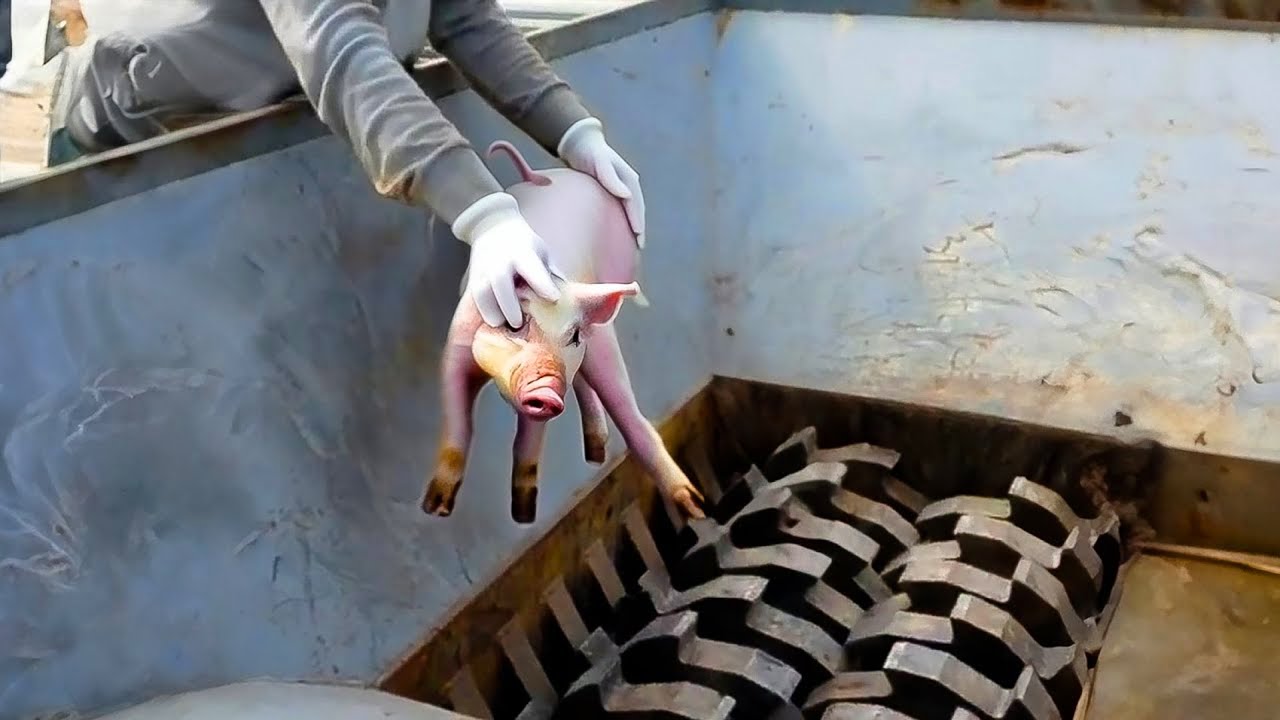 عملية تصنيع ذكية