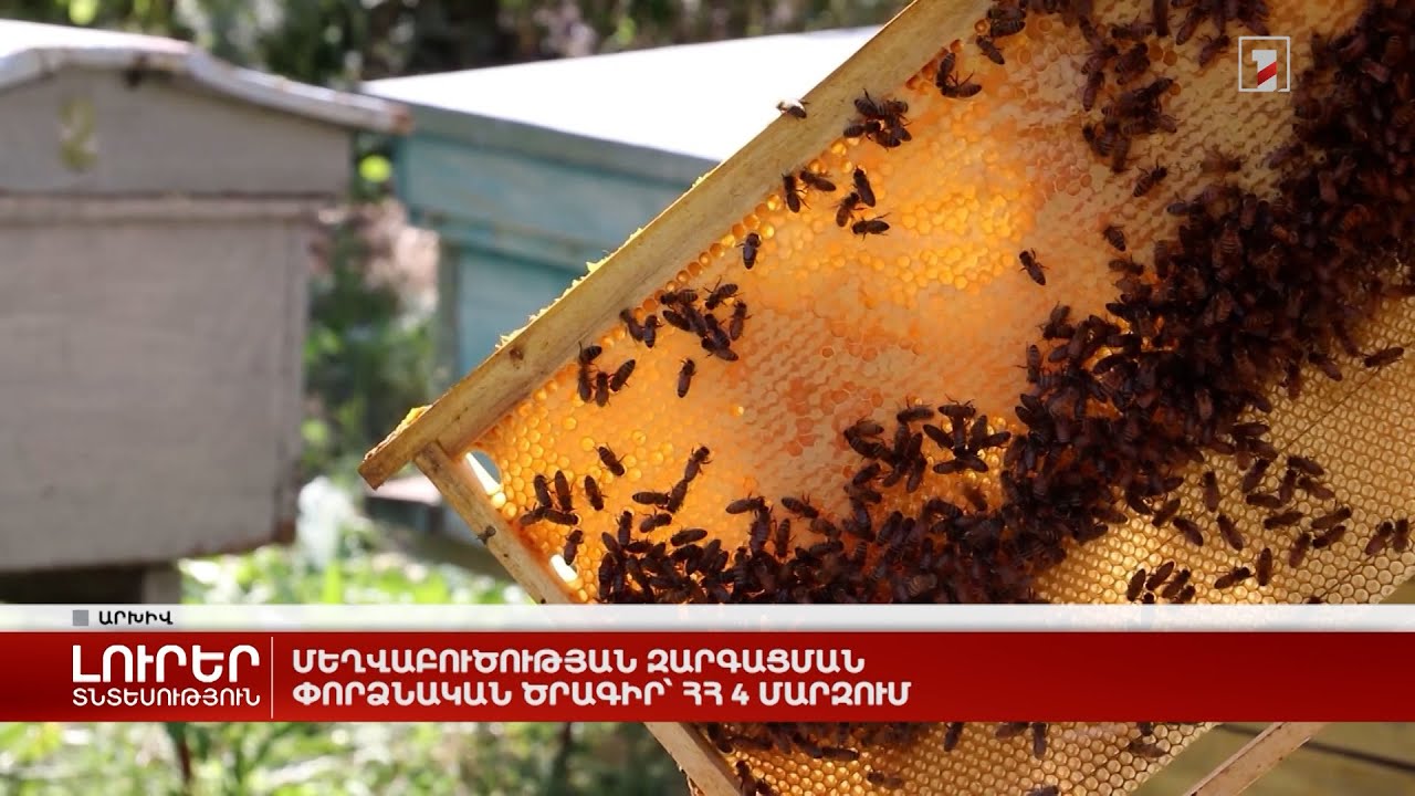 Մեղվաբուծության զարգացման փորձնական ծրագիր՝ ՀՀ 4 մարզում