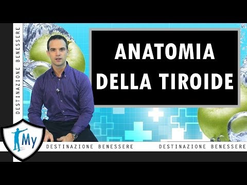 Quando osteocondrosi vasi cerebrali Lunità artrosi