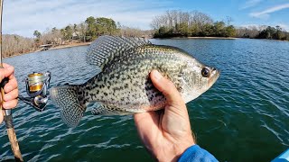 Slab Crappie Can't Resist This Bait