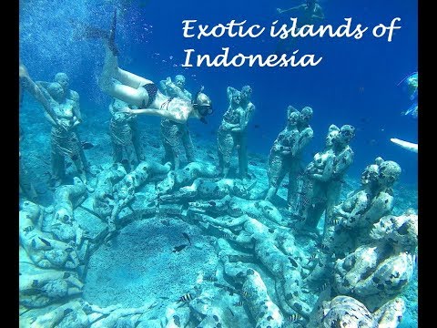 Exotic Islands of Indonesia | 5 things to do in Gili Trwangen and Lombok | Voyagetrails