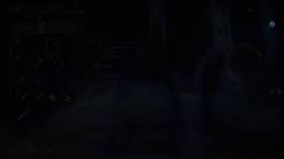 今週も垂れ流しはいしん→[ELDEN RING NIGHTREIGN][PS5][参加可]