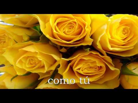 DIGNO ERES DE GLORIA   - Devocional - Milagros Fajardo