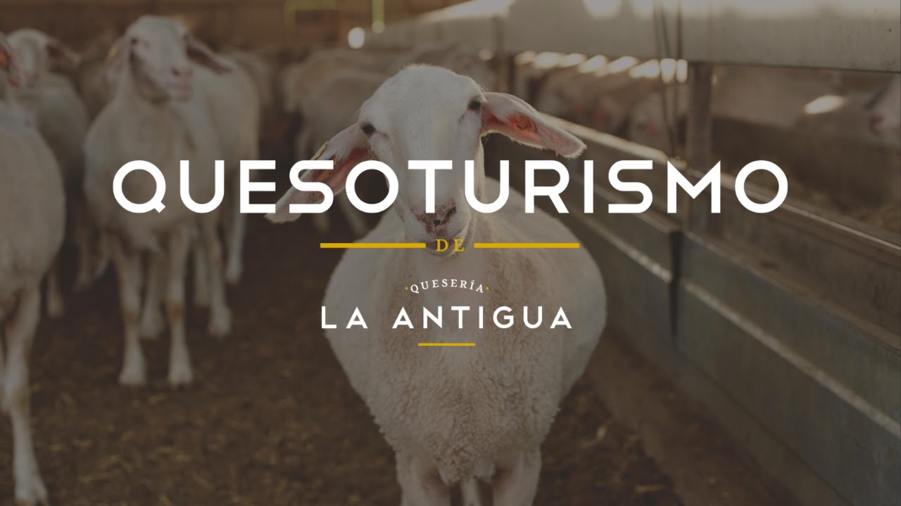 Vídeo Quesería La Antigua de Fuentesaúco