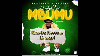 Download lagu WalyCris - Mbumu (Pressure) Lyric Video #Nowout mp3 Download lagu WalyCris - Mbumu (Pressure) Lyric Video #Nowout mp3