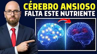 Ansiedade e Esquecimento? A Diminuição do Nutriente Essencial que Seu Cérebro Precisa