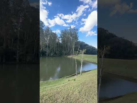 Fazenda do Ivelson em São Pedro da União #fazendashistoricas #minasgerais #mg #roça