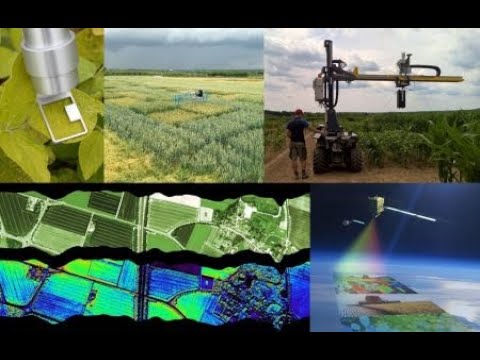 9th IPPN webinar Uwe Rascher - Measuring and quantifying spatio-temporal dynamics of photosynthesis