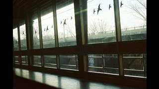 Love Love Love - Of Monsters and Men acoustic demo