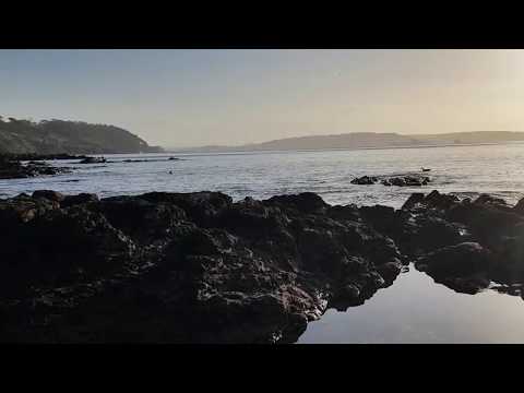 WilderMe 3D Immersive Audio MEDITATION WALK MINNADHU BREAKS  No 1